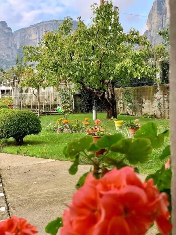 カランバカMeteora View Gardenアパートメント エクステリア 写真